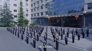 公司介绍