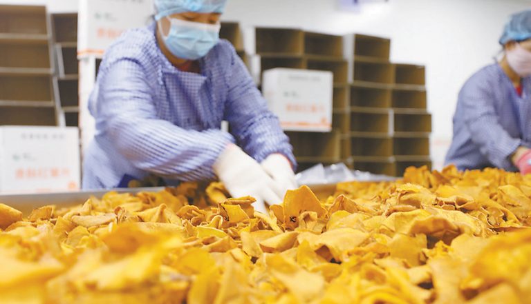 休闲食品膨化生产线