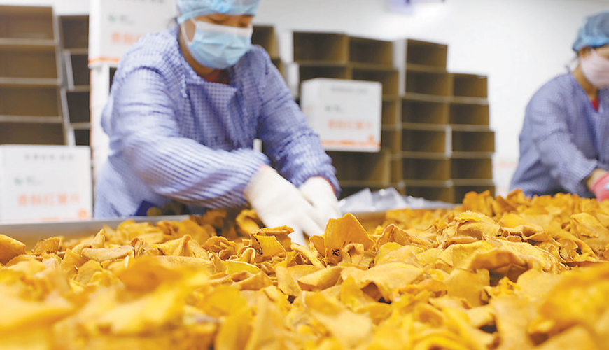 休闲食品膨化生产线